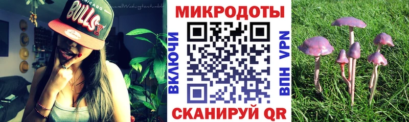 Псилоцибиновые грибы мухоморы  где купить наркоту  blacksprut зеркало  Сургут 